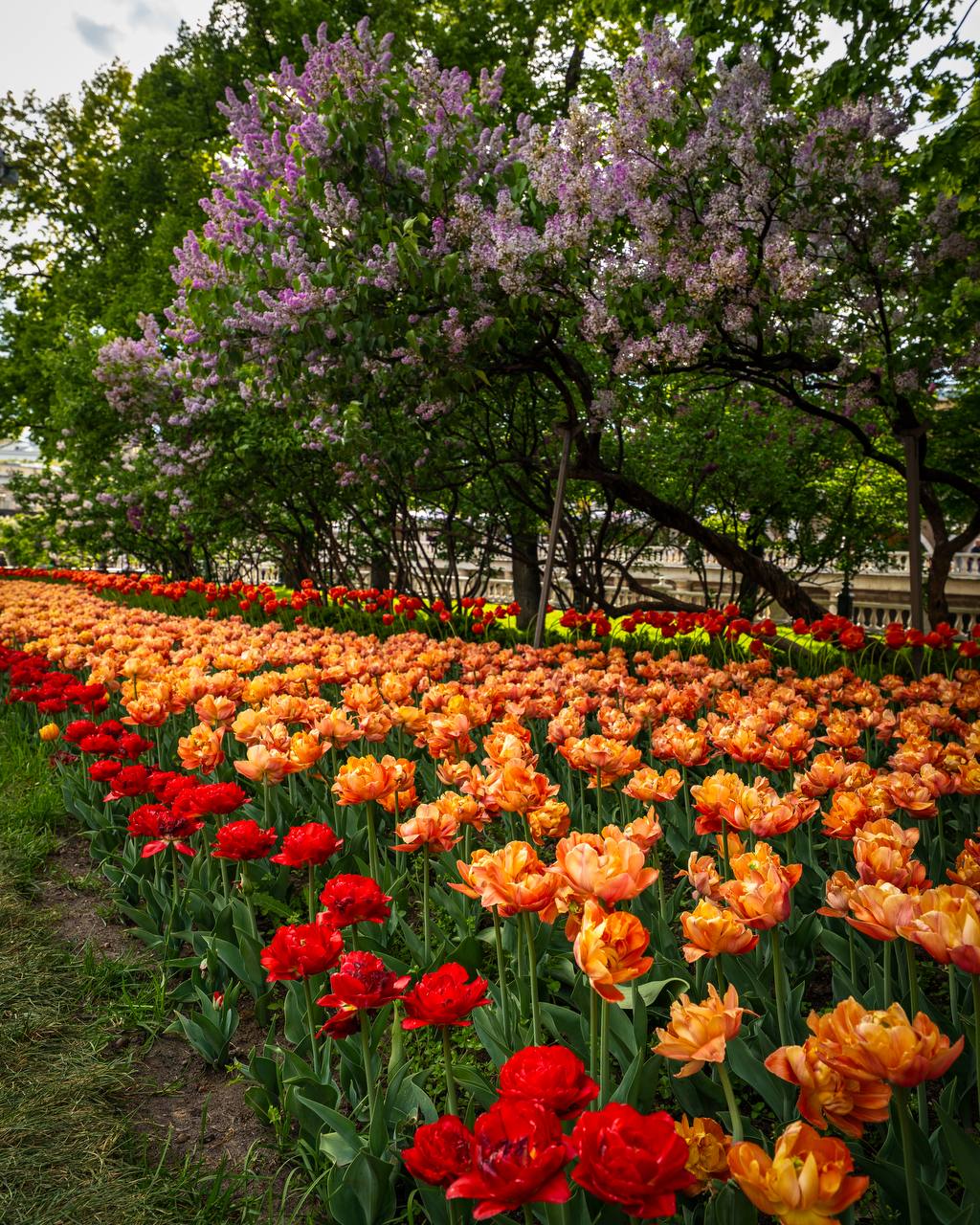 Московский Кремль